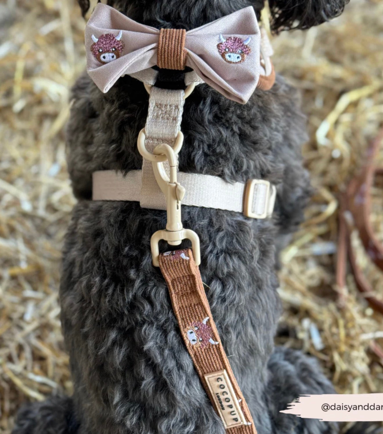 Cocopup Harold the Highland Cow Bow Tie