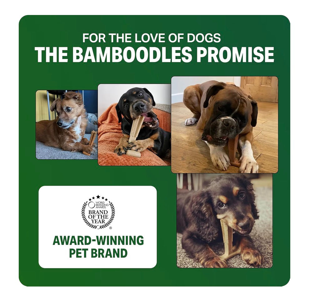 Bamboodles Cheese Medium at Bone Chew Toy