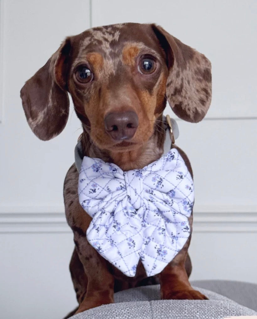 Cocopup London Quilted Ditsy Floral Periwinkle Sailor Bow