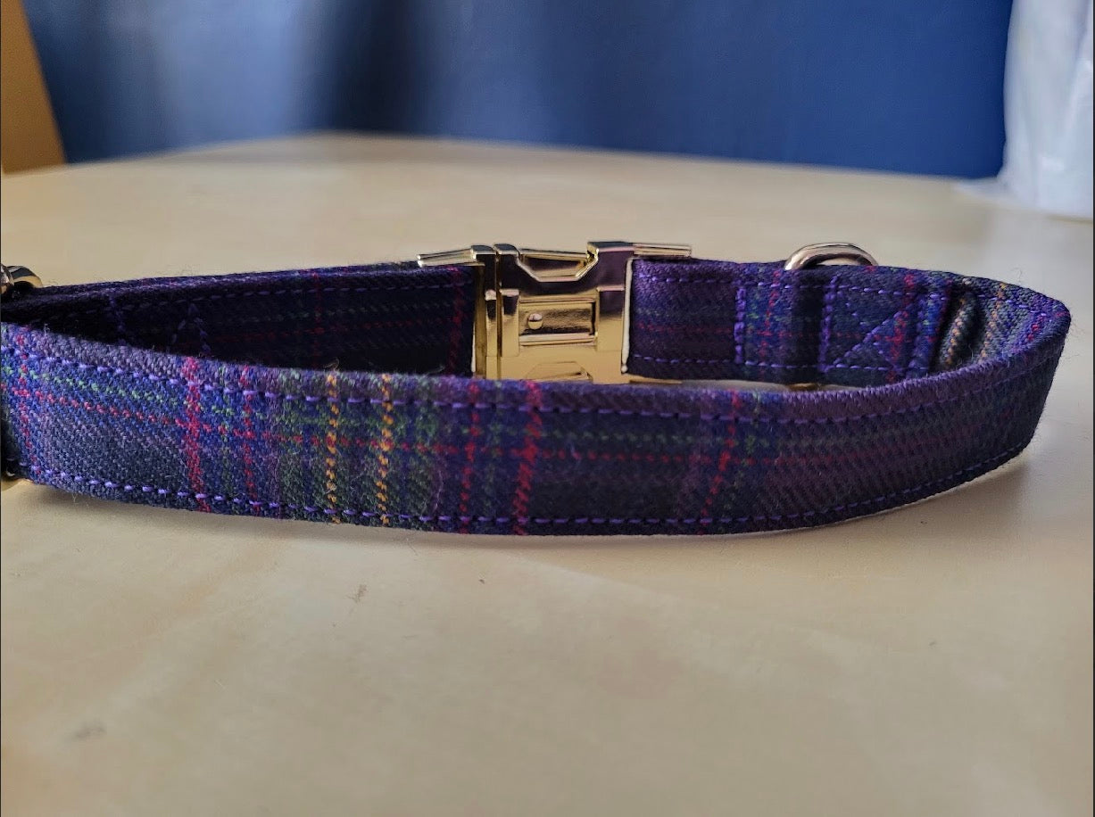 Tartan Terrors Monarch of the Glen Tartan Collar