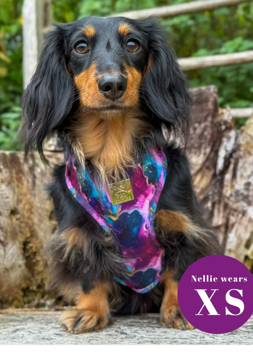 Paw Couture Cosmos Deluxe Adjustable Harness