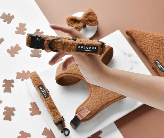 Cocopup London Teddy Collar - Paddington