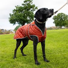 Ancol Heritage Dog Jacket Terracotta