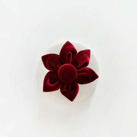 Cocopup London - Luxe Velvet- Berry Red Collar Flower