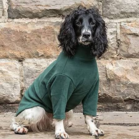 Hotterdog Jumper Forrest Green