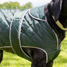 Ancol Heritage Dog Jacket Dark Green XS