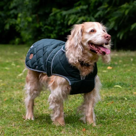 Ancol Heritage Dog Jacket Dark Green XS