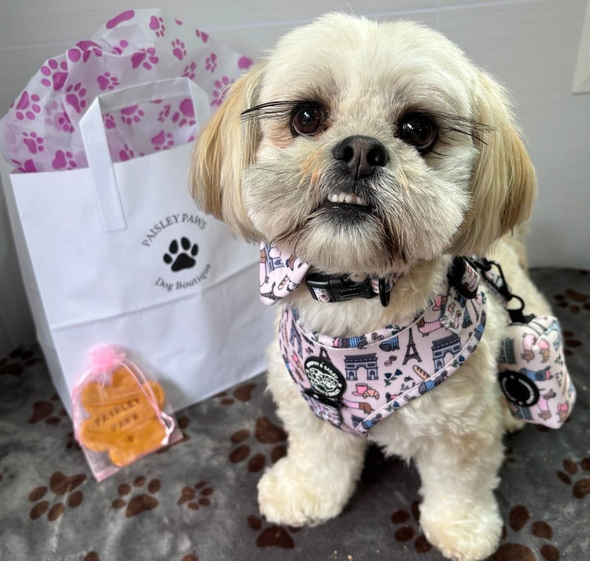 Dog Harnesses