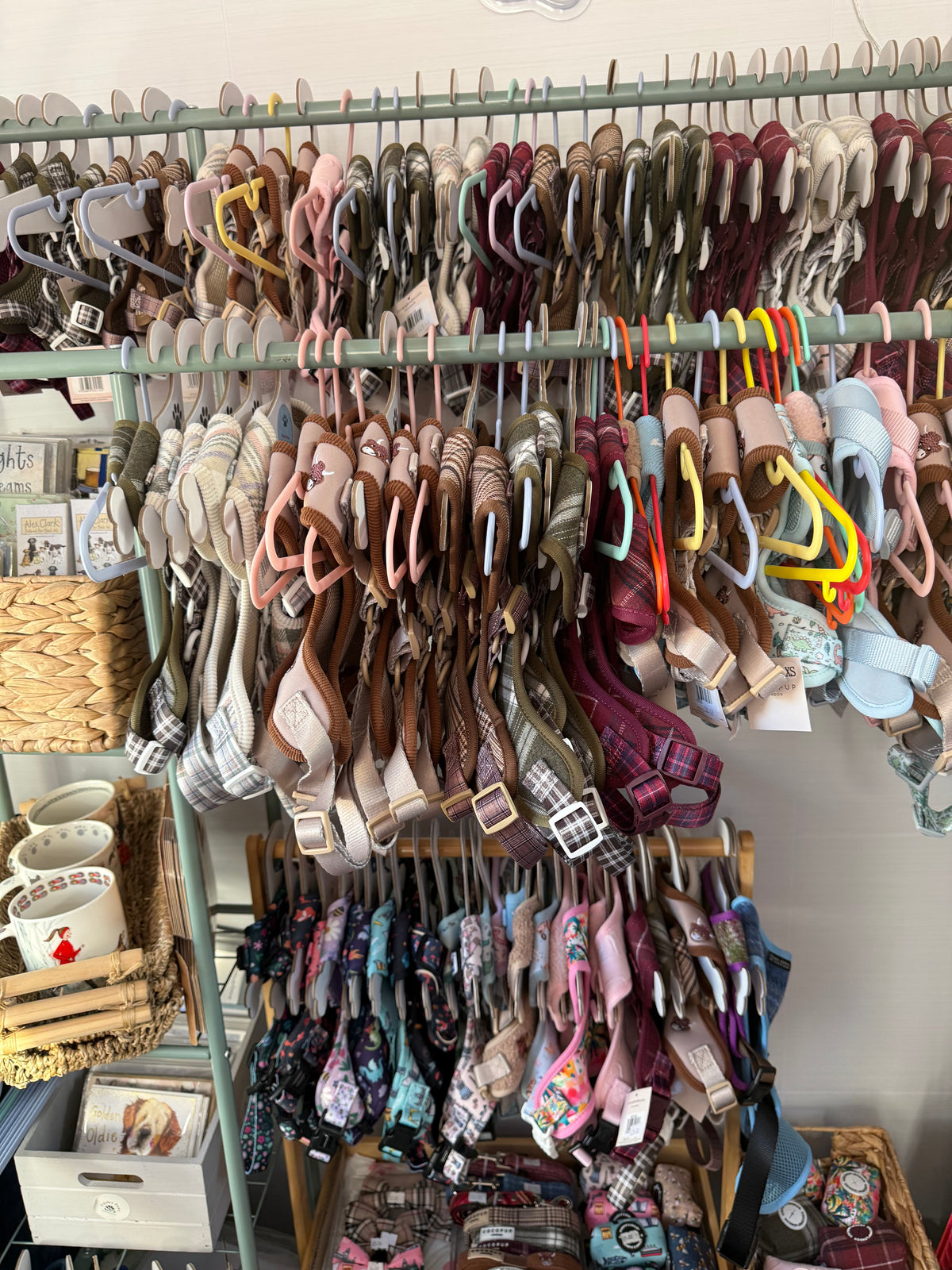Summer Sale