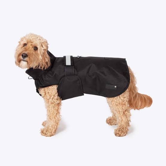 Dog Jackets and Drying Robes