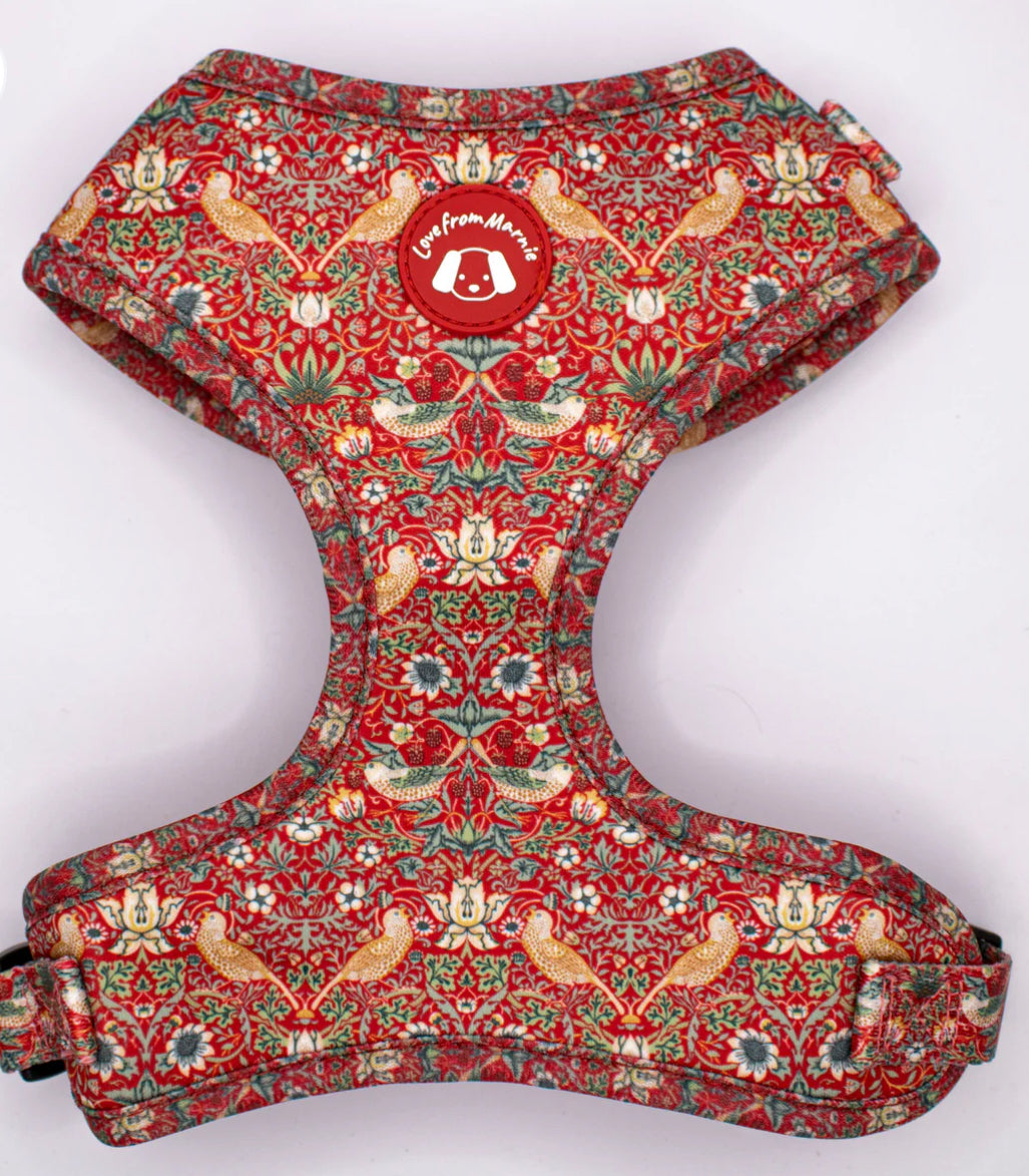 Love From Marnie Adjustable Harness - Strawberry Thief