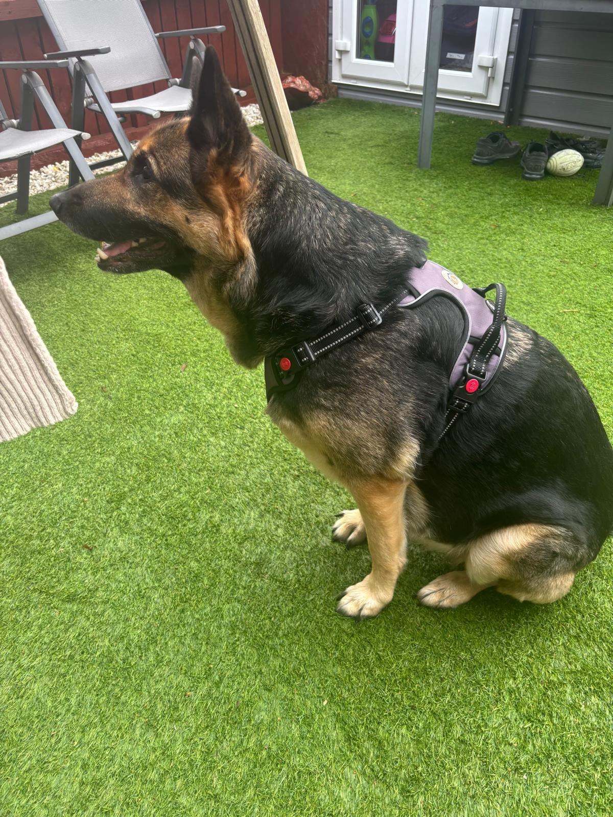 SALE!!! Love From Marnie LED Harness Grey