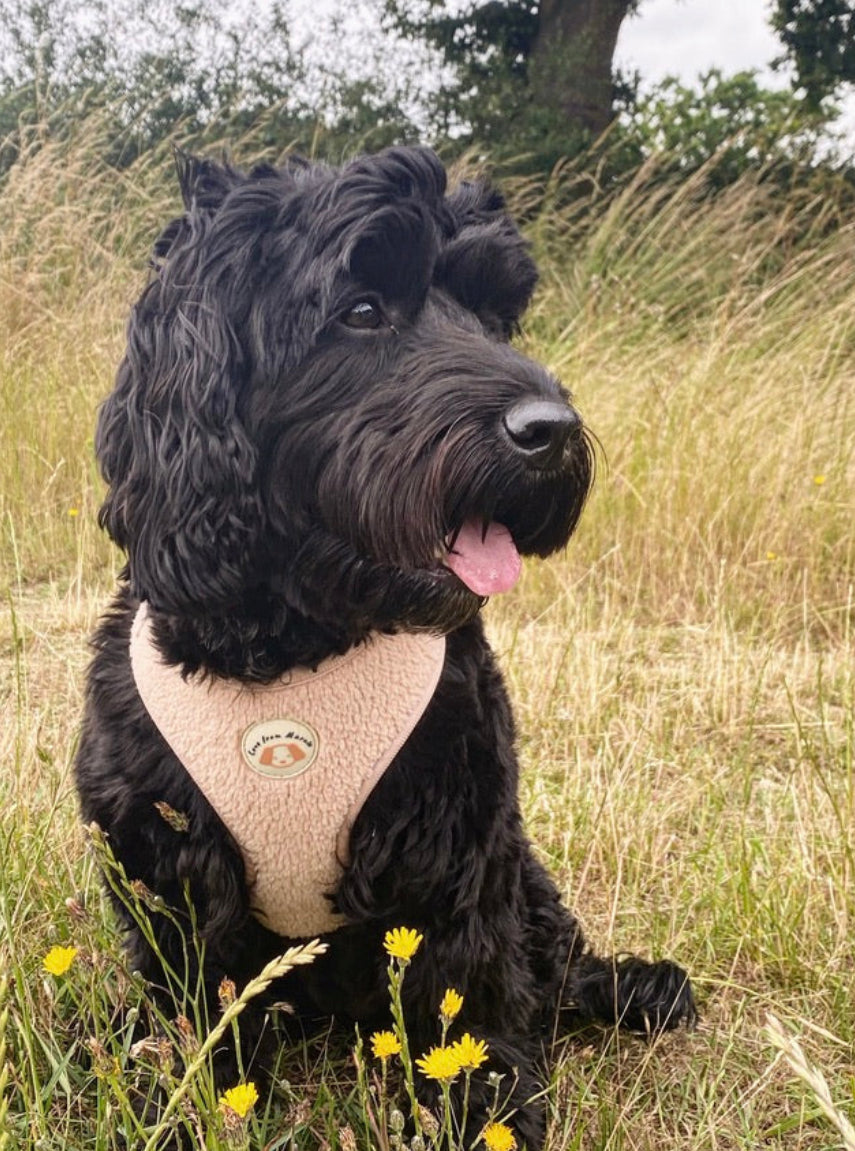 Love From Marnie Adjustable Harness - Fleece Latte