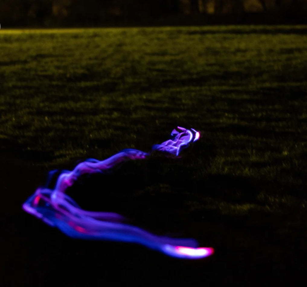 Love From Marnie LED Harness Black