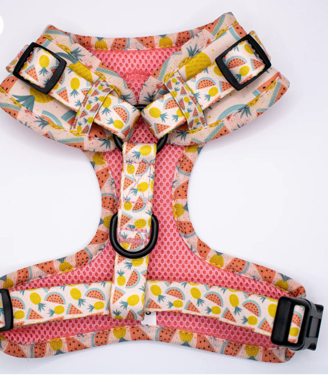 Love From Marnie Adjustable Harness - Fruitalicious
