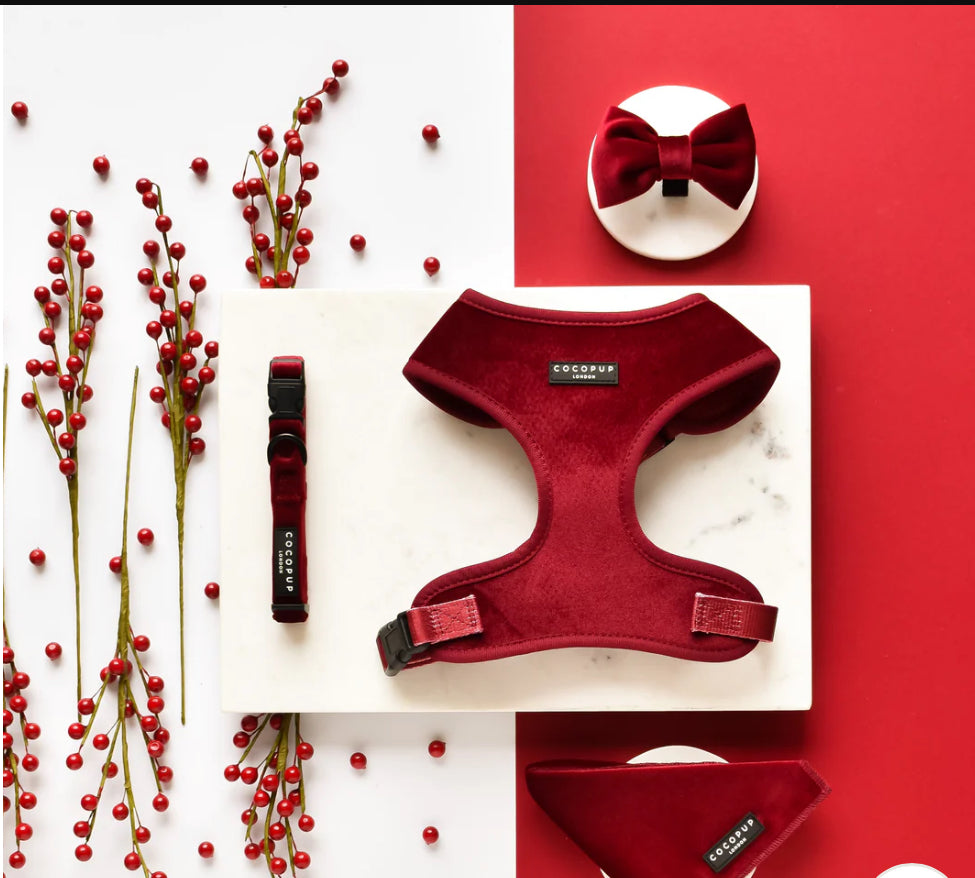 Cocopup London Collar - Luxe Velvet - Berry `Red