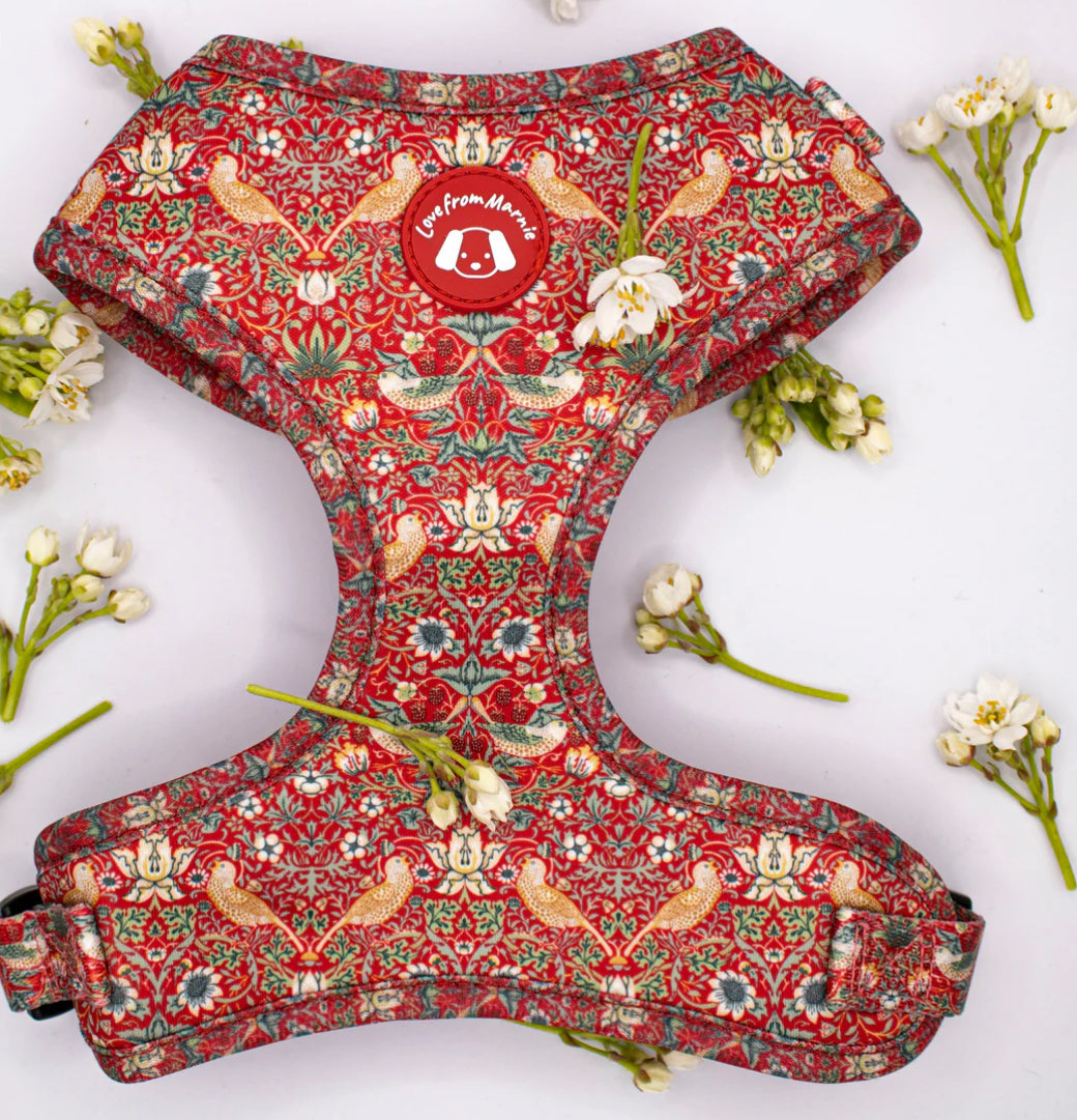 Love From Marnie Adjustable Harness - Strawberry Thief