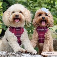 Cocopup London Collar - Mulberry Plaid