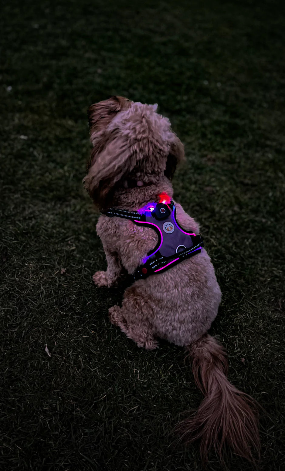 Love From Marnie LED Harness Grey