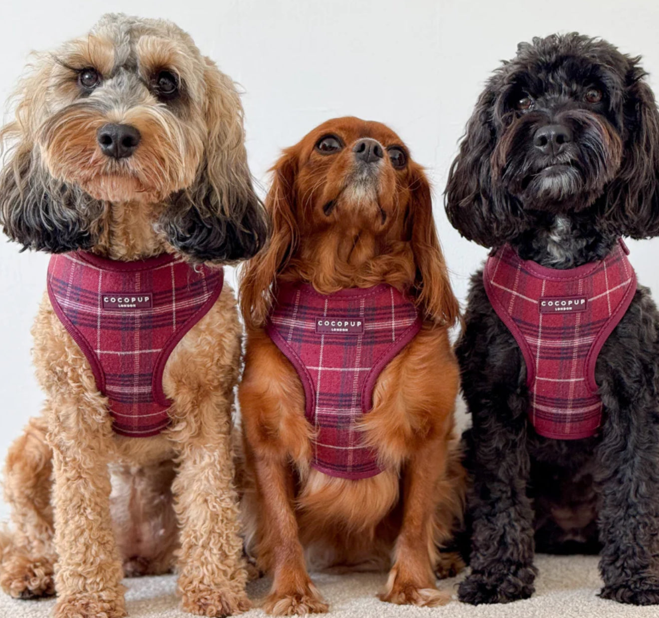 Cocopup London Harness - Mulberry Plaid