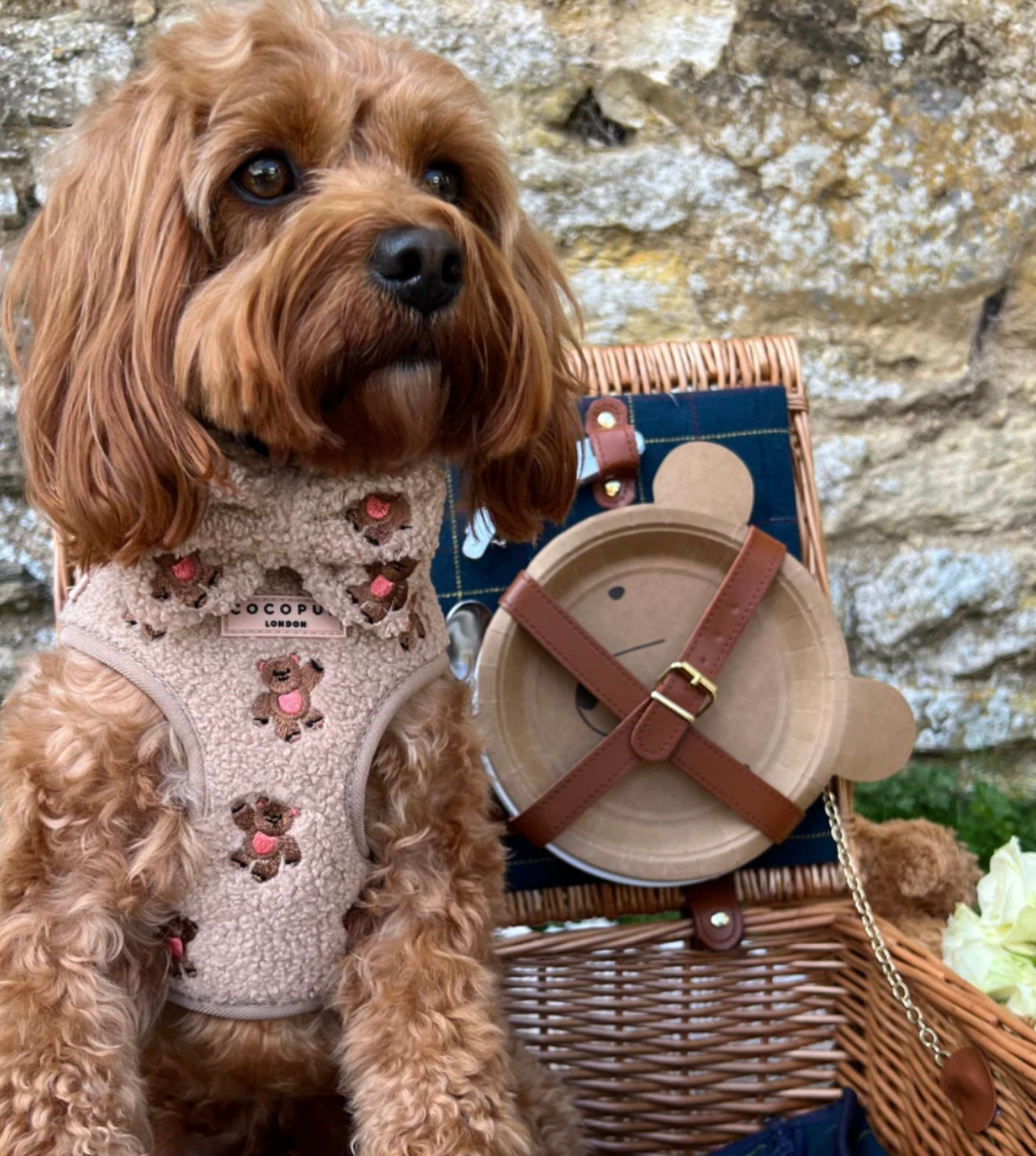Cocopup London Theo Embroidered Teddy Adjustable Harness