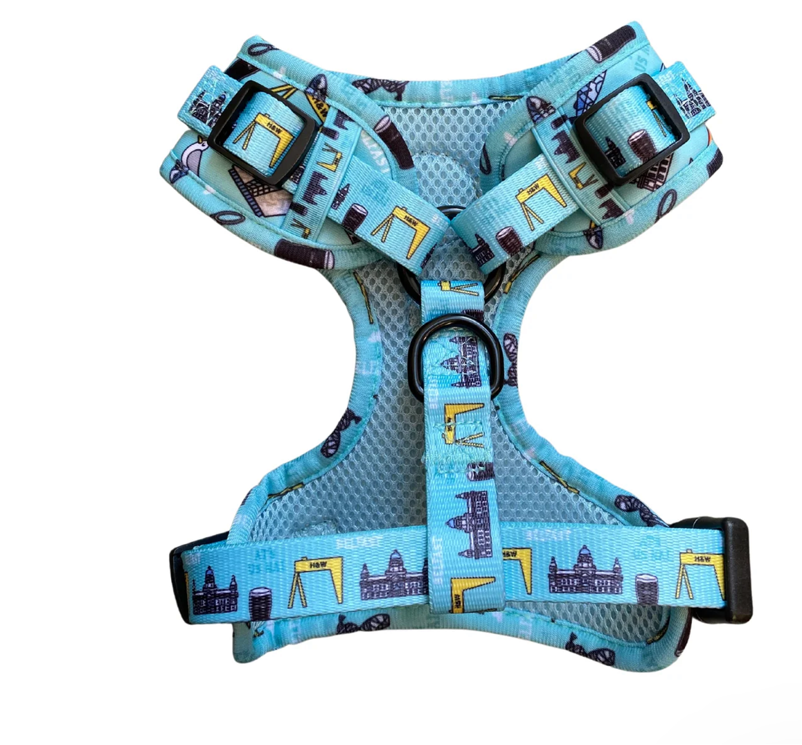 Murphy & Bailey Adjustable Harness - Mutts about Belfast Blue