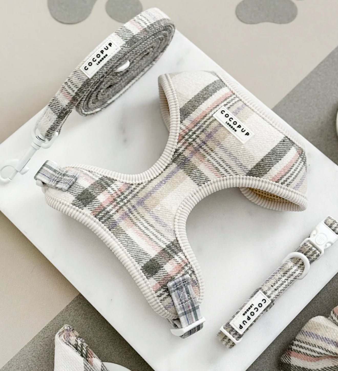 Cocopup London Oxford Plaid Lead