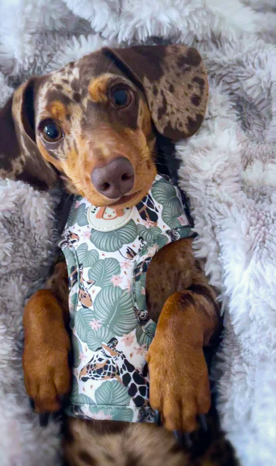 Love From Marnie Adjustable Harness - Wild Giraffe