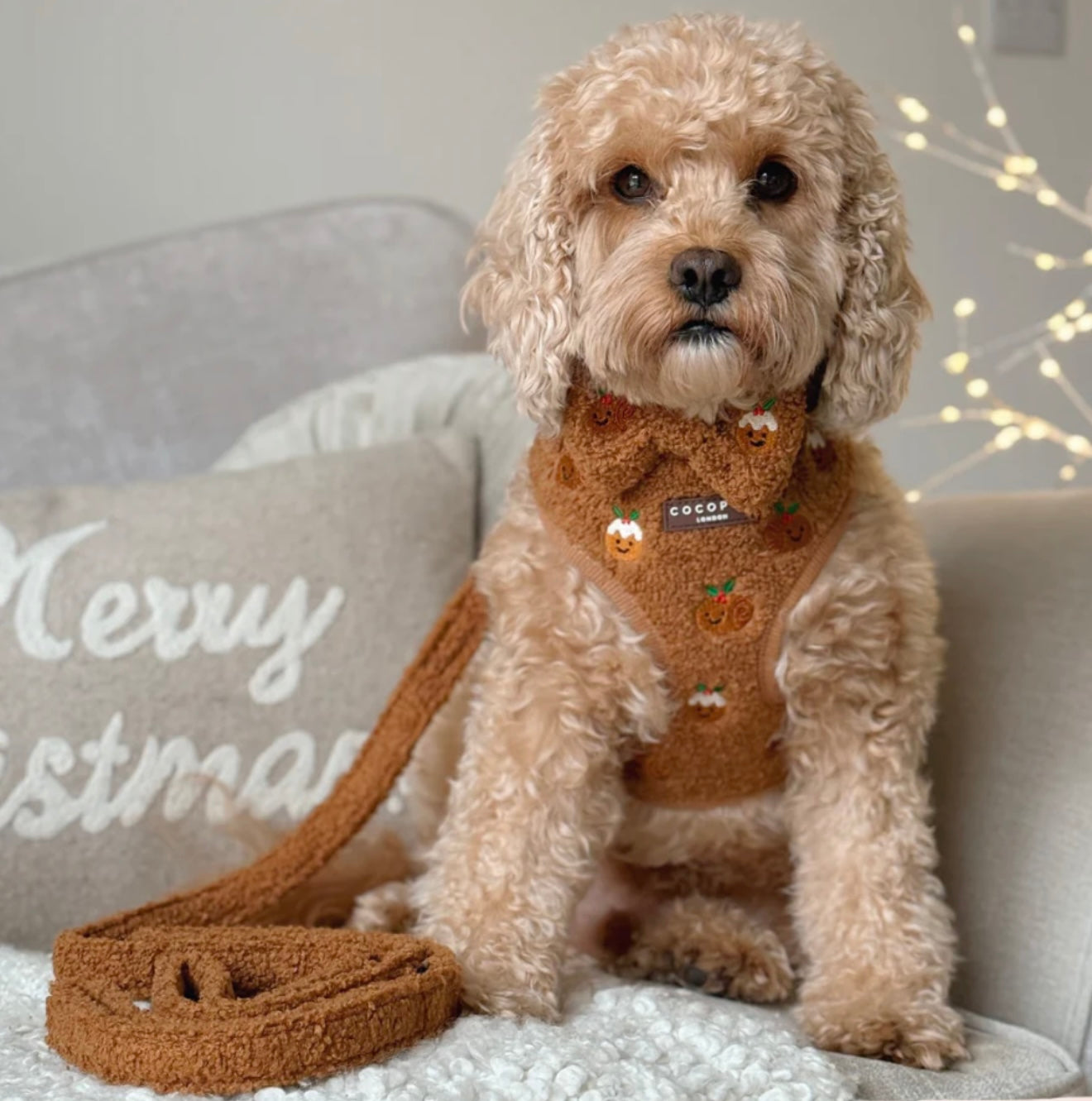 Cocopup London Festive Pudding Adjustable Harness