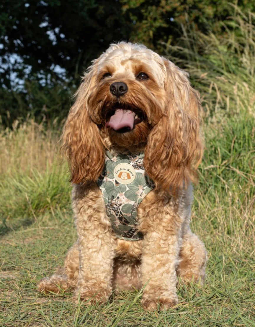 Love From Marnie Adjustable Harness - Wild Giraffe