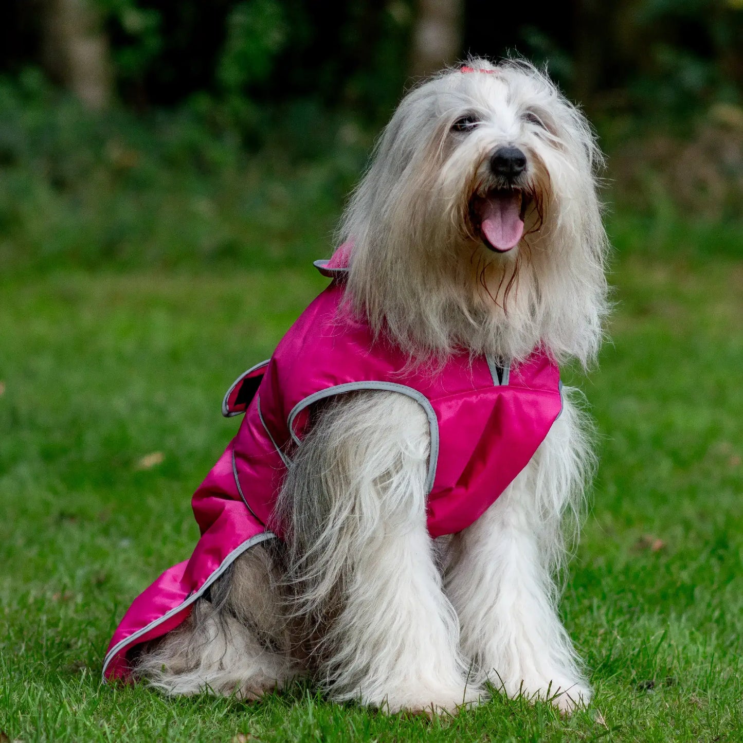 Ancol Stormguard Dog Jacket Pink