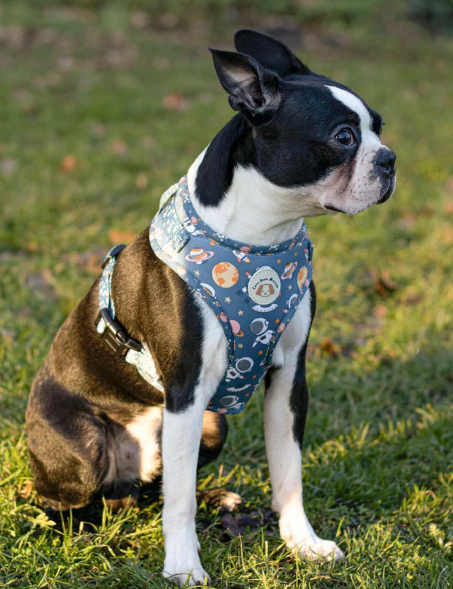 Love From Marnie Adjustable Harness - Outer Space