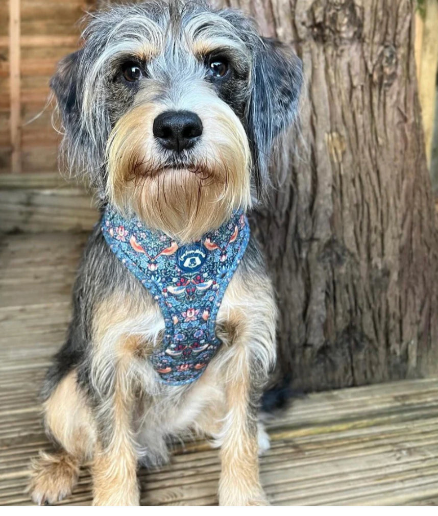 Love From Marnie Adjustable Harness - Strawberry Thief Blue