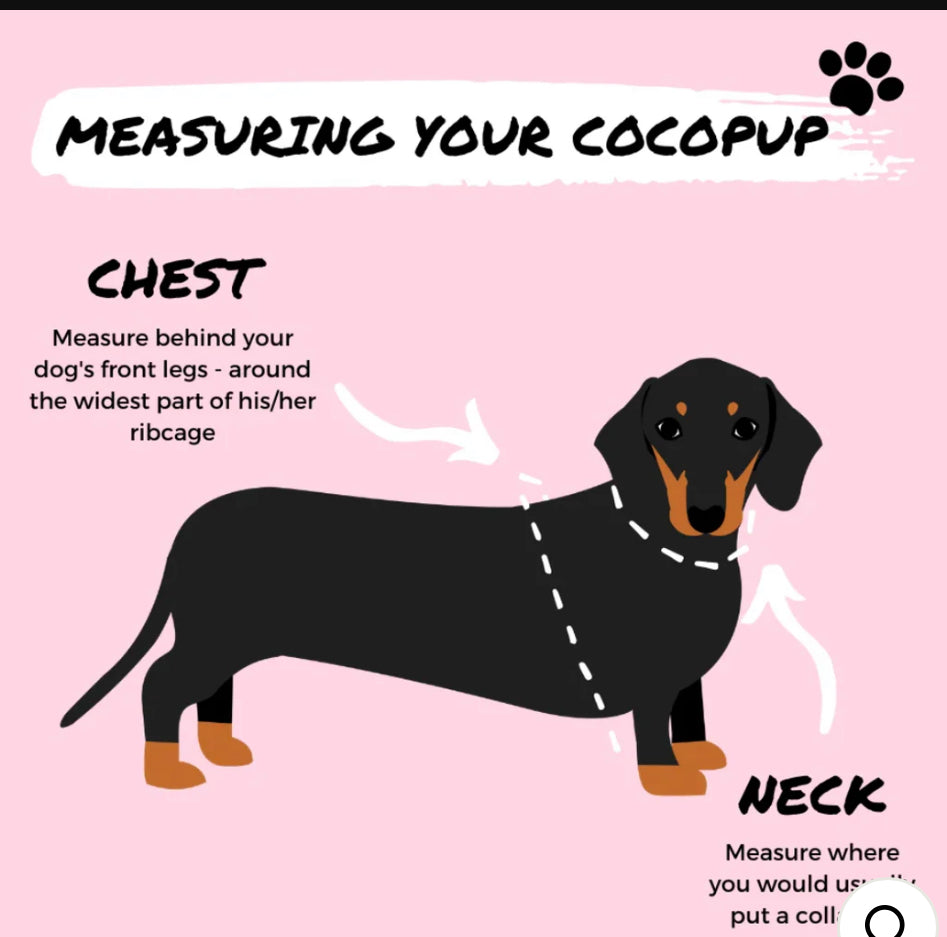 Cocopup London Adjustable Neck Harness - Luxe Velvet - Berry Red