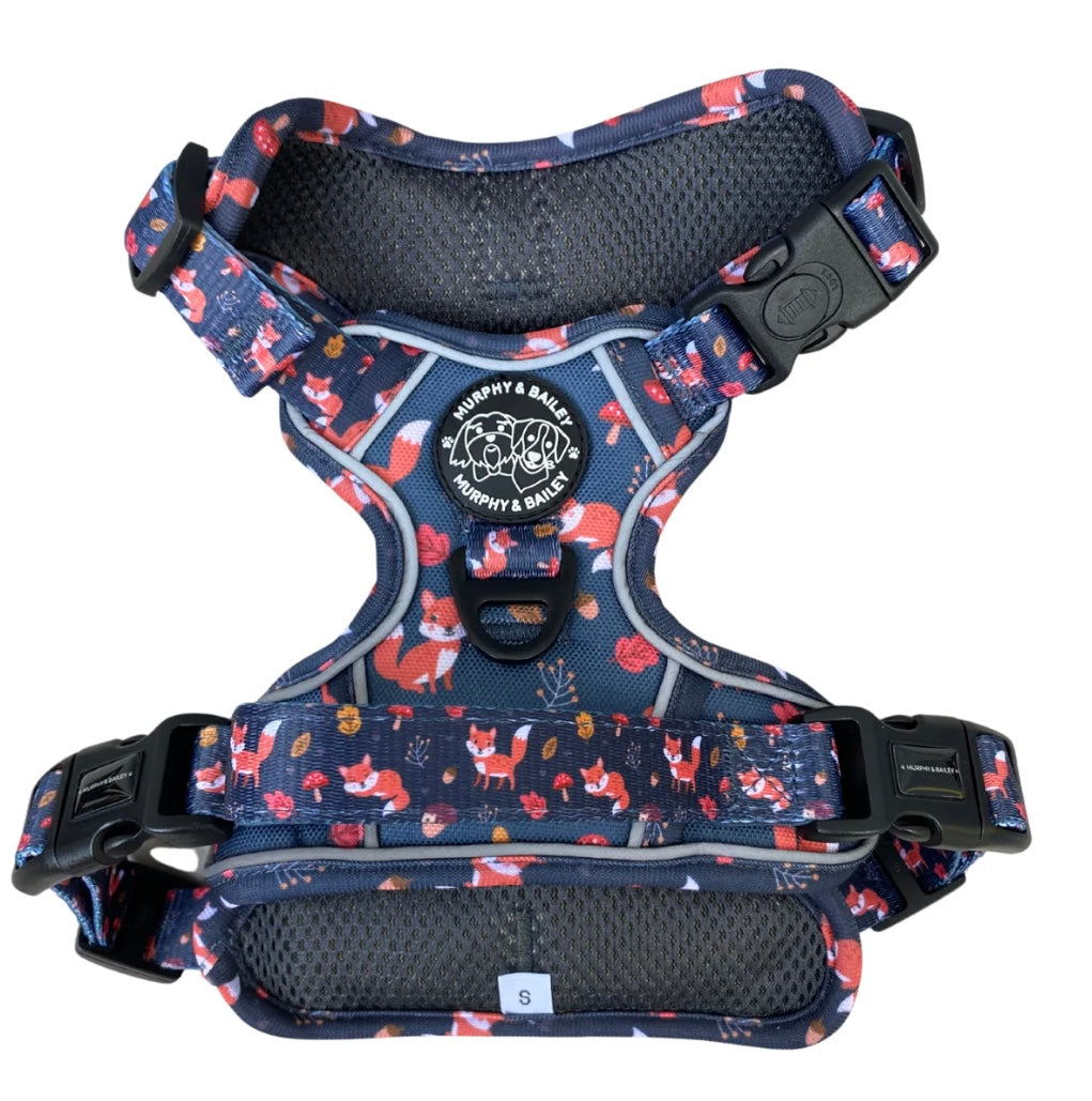 Murphy & Bailey Explore Harness - Let’s get foxy!