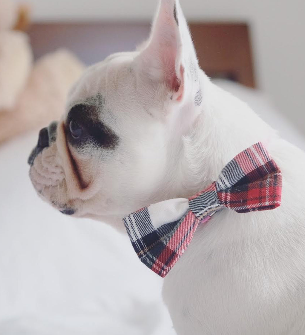 Pet Pooch Boutique Alfies Red and White Plaid Bow Tie