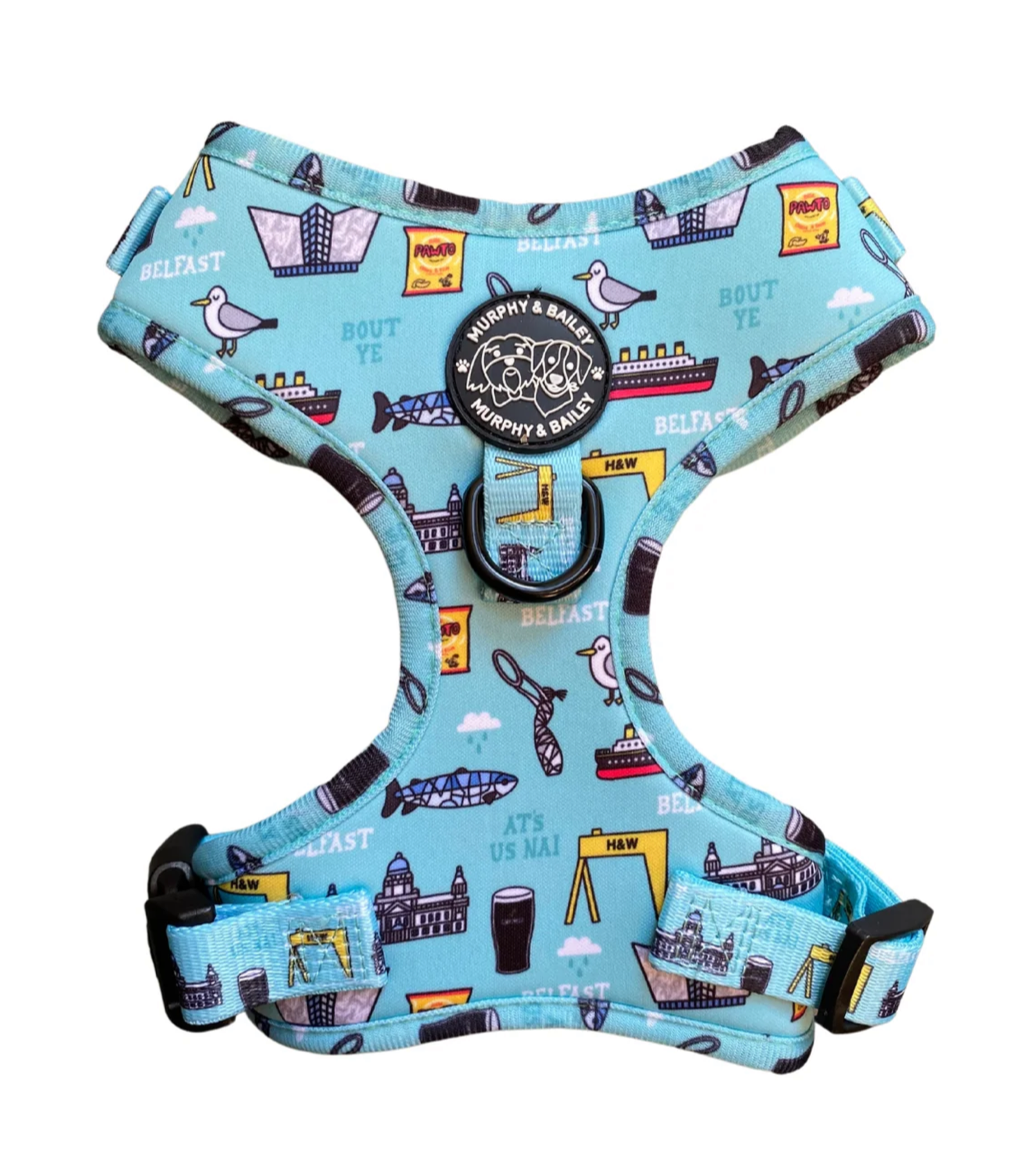 Murphy & Bailey Adjustable Harness - Mutts about Belfast Blue