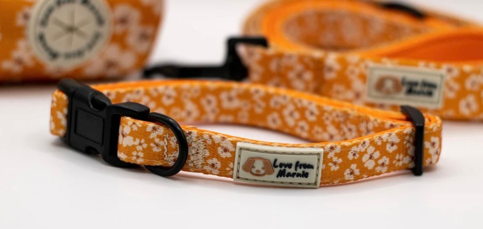 Special End of Month Offer!!
- Love from Marnie Orange Blossom Harness & Collar Set