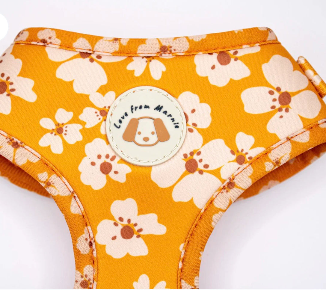 Love From Marnie Adjustable Harness - Orange Blossom