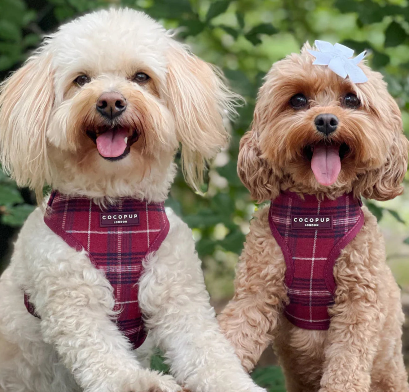 Cocopup London Harness - Mulberry Plaid