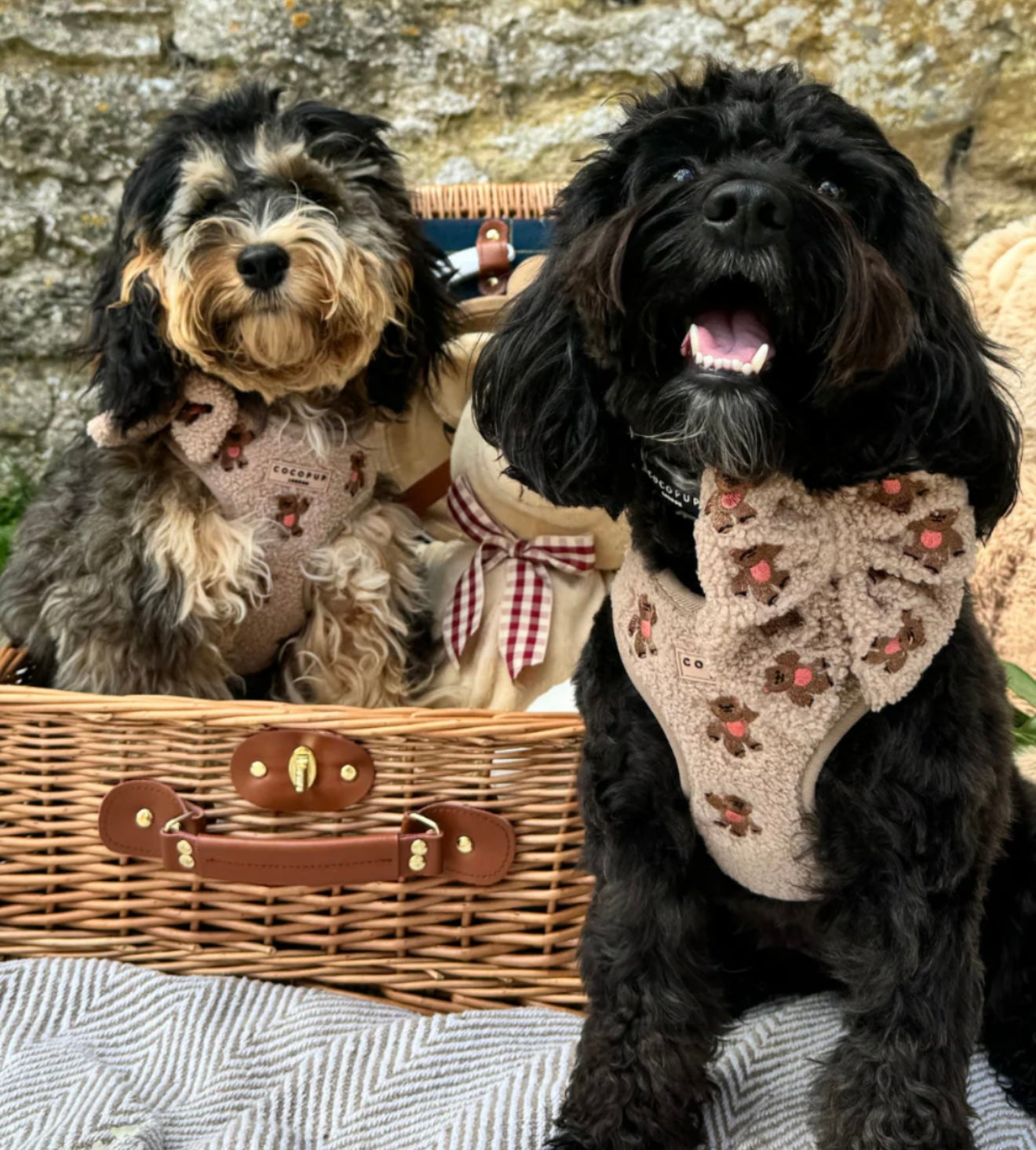 Cocopup London Theo Embroidered Teddy Adjustable Harness