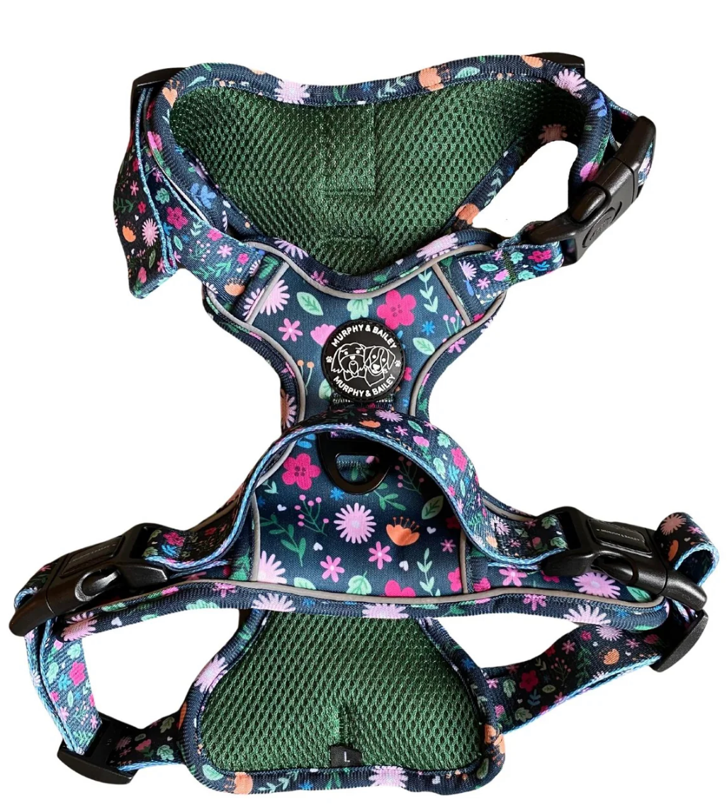 Murphy and Bailey Belmont Bloom Explorer Harness
