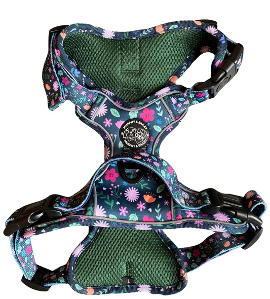Murphy and Bailey Belmont Bloom Explorer Harness