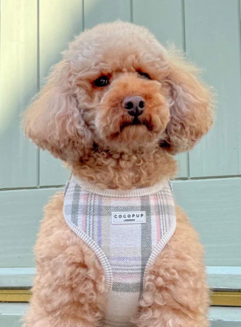 Cocopup London Adjustable Neck Harness - Oxford Plaid
