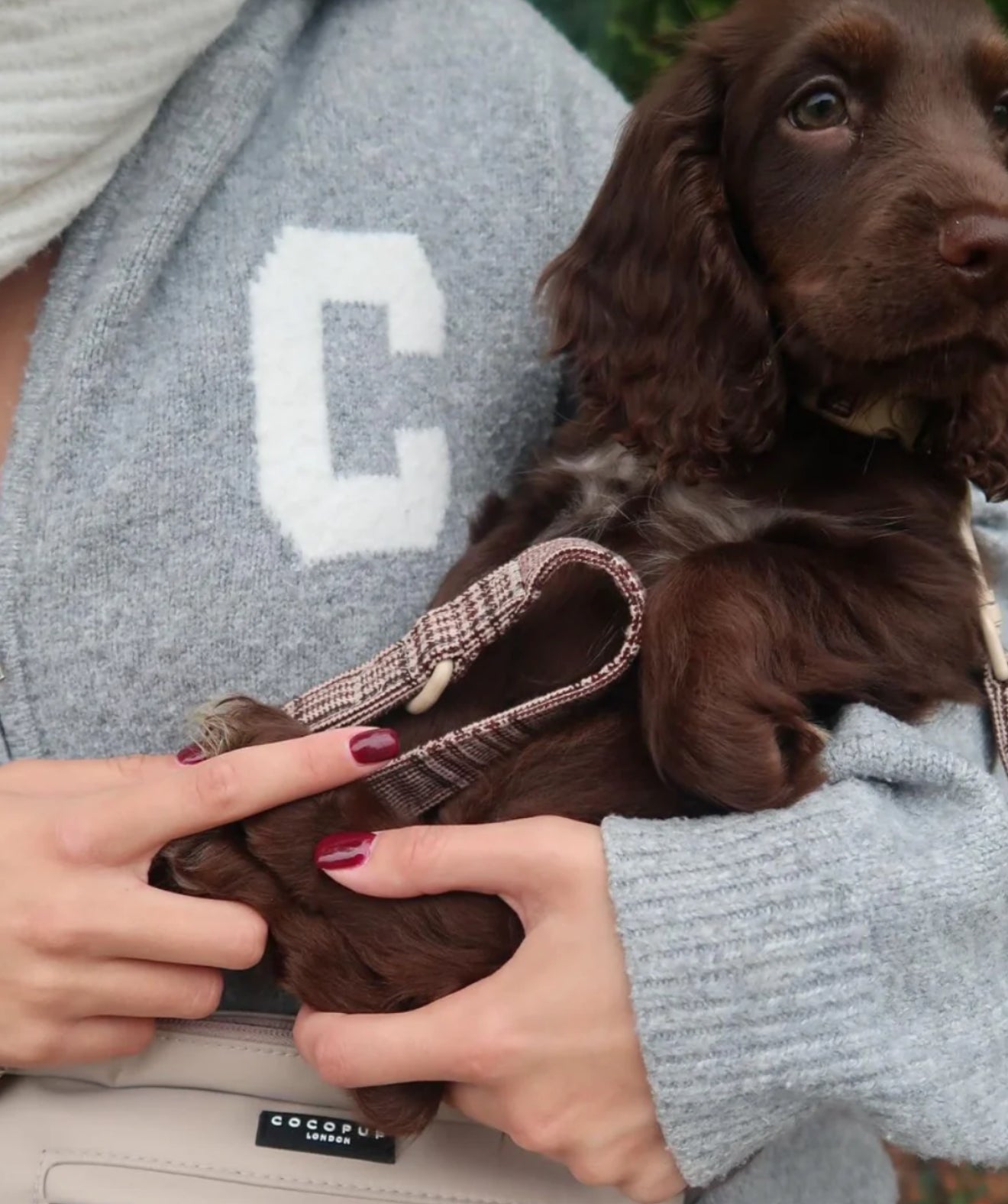 Cocopup London Lead Pup Plaid