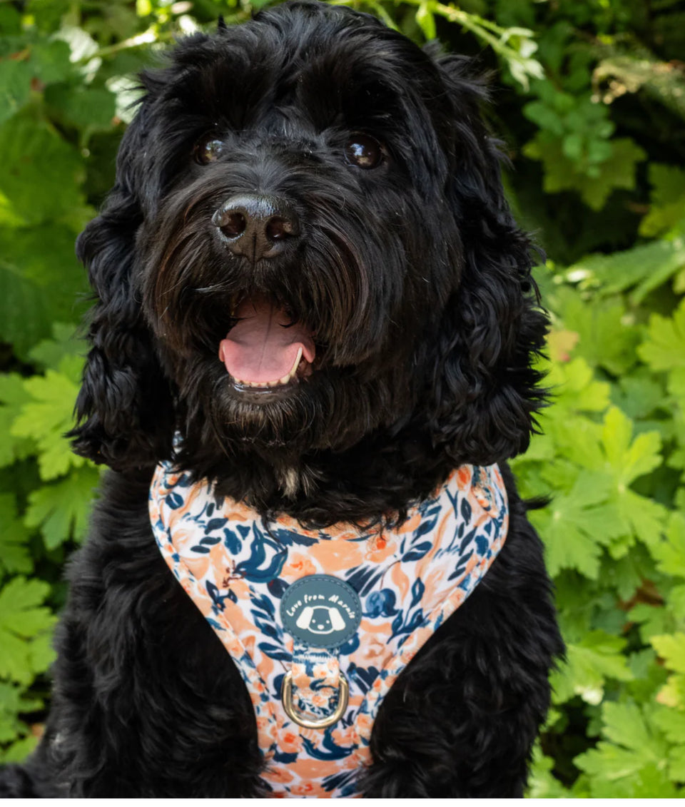 Love From Marnie Adjustable Harness - Pastel Peach