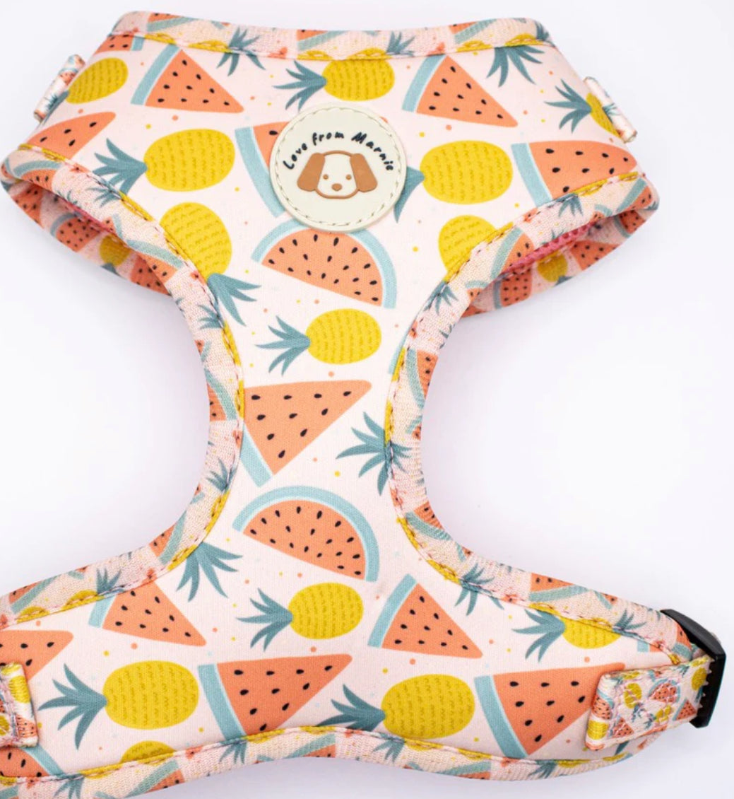 Love From Marnie Adjustable Harness - Fruitalicious