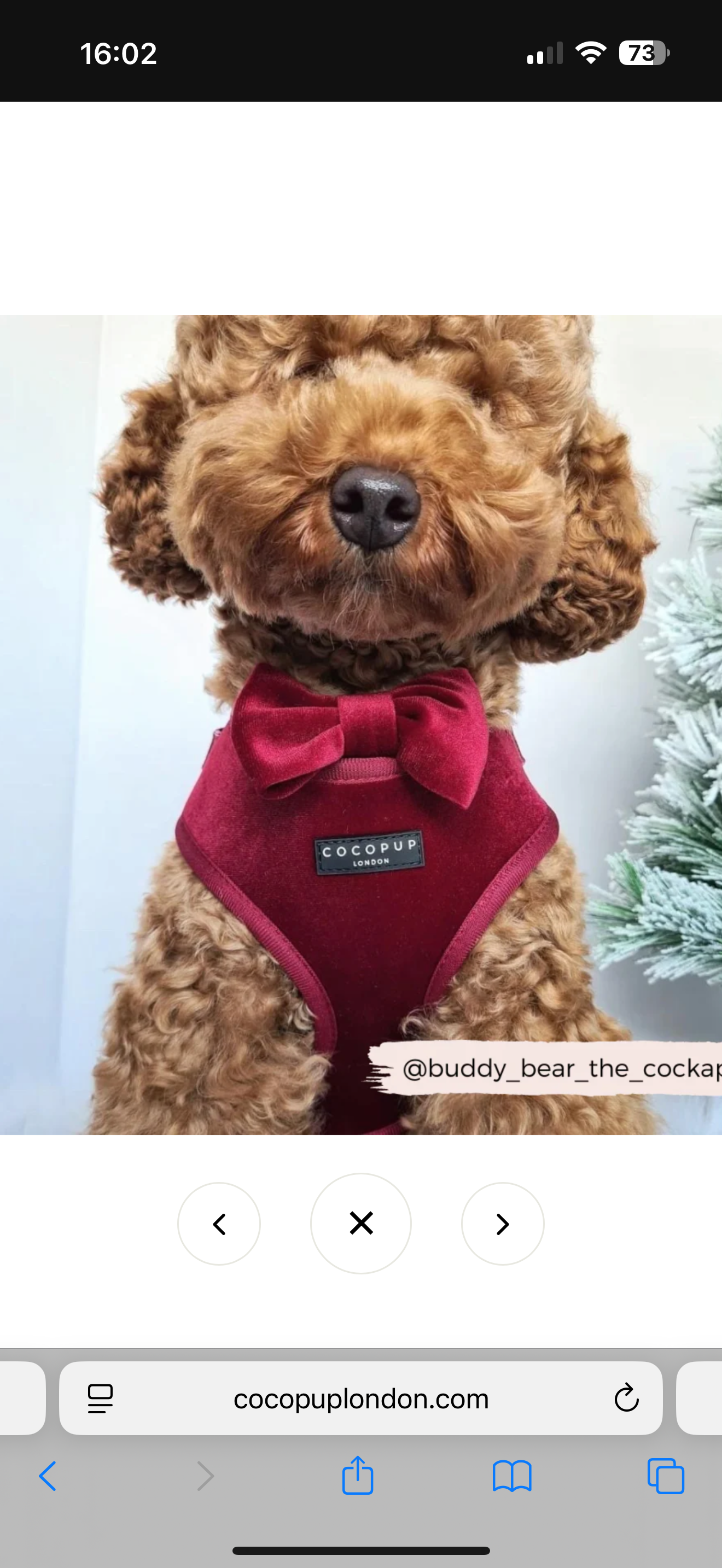 Cocopup London Luxe Velvet Berry Red Bow Tie