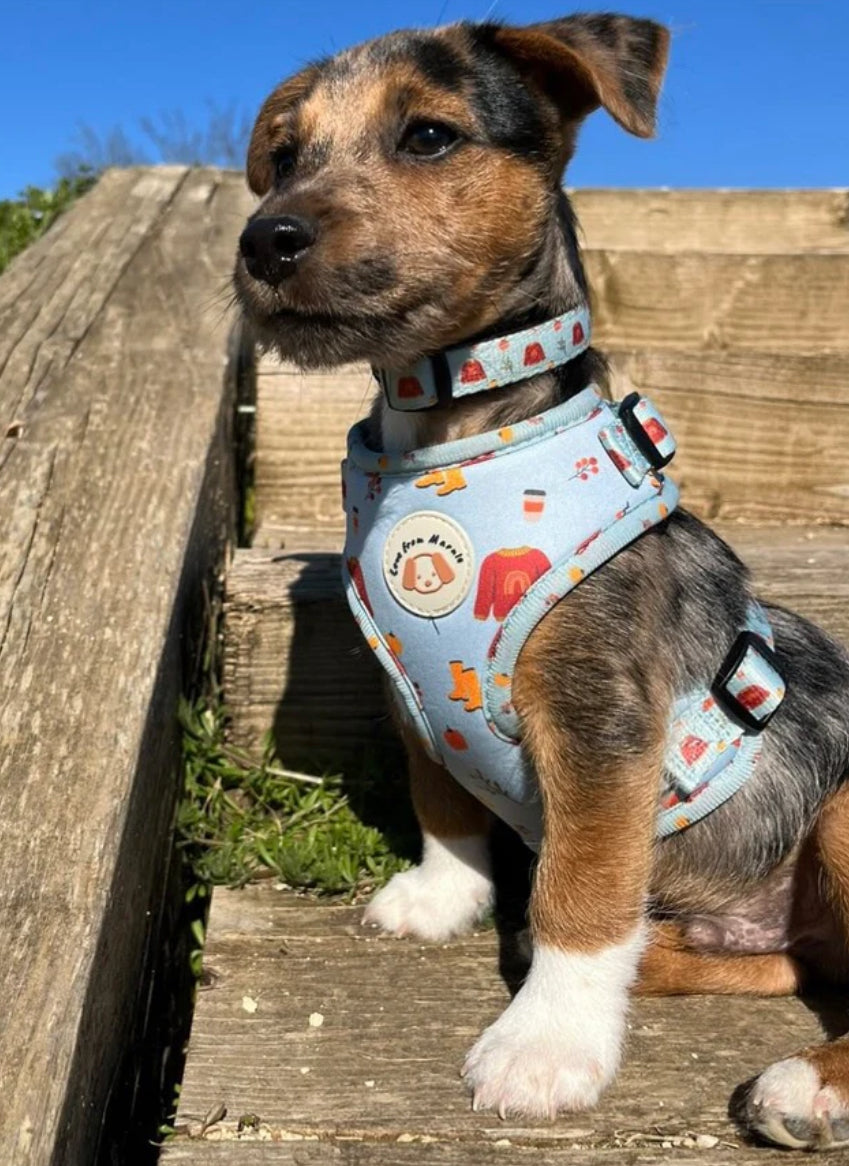 Love From Marnie Adjustable Harness - Sweater Weather