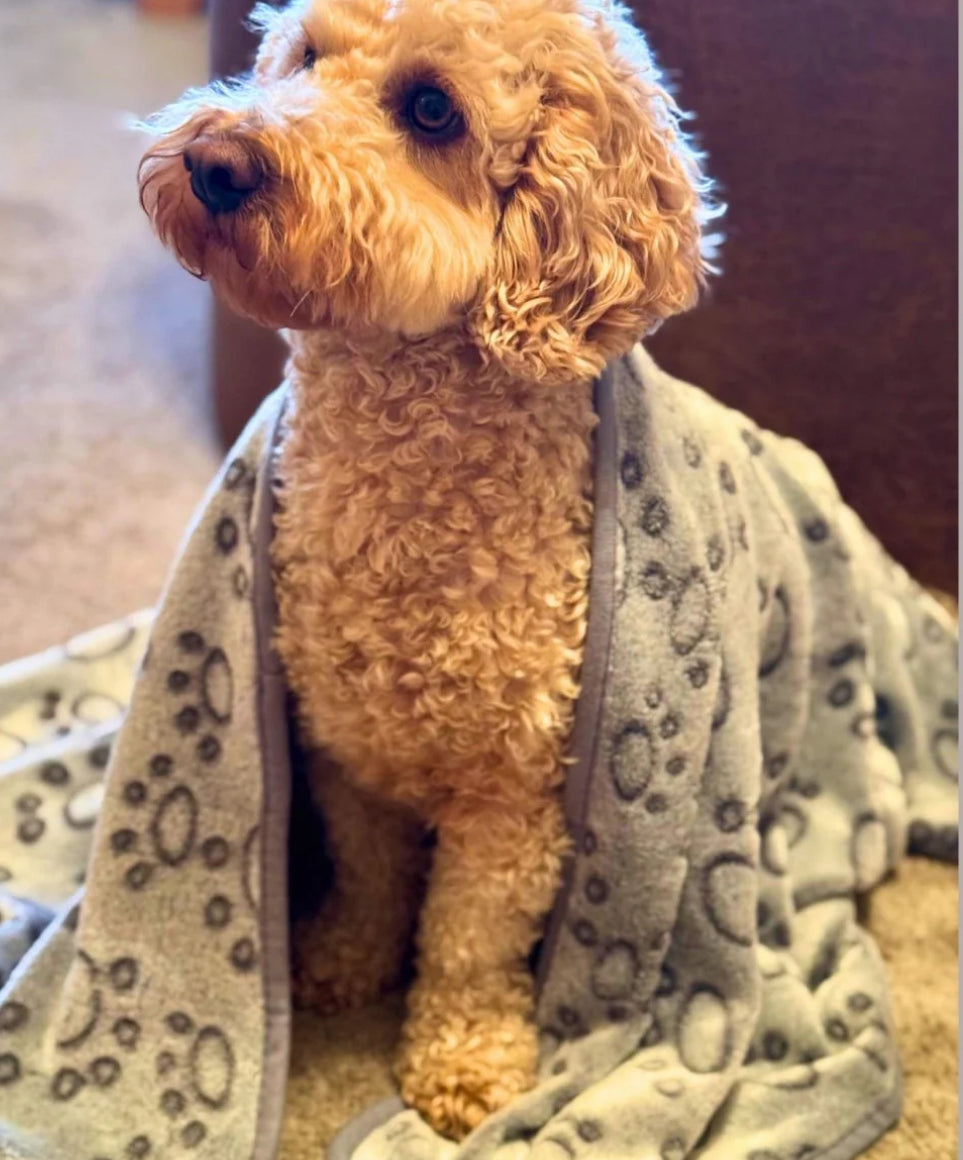 Pup Club Couture Dog Blanket - Grey Paws Medium